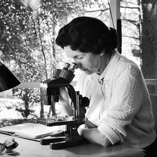 Gioielli Rachel… Carson